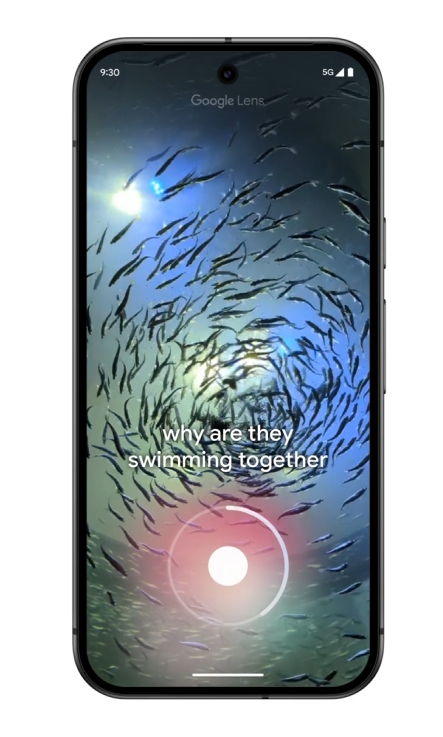 a google lens app aquarium fish video illustration with voice search screenshot capture image