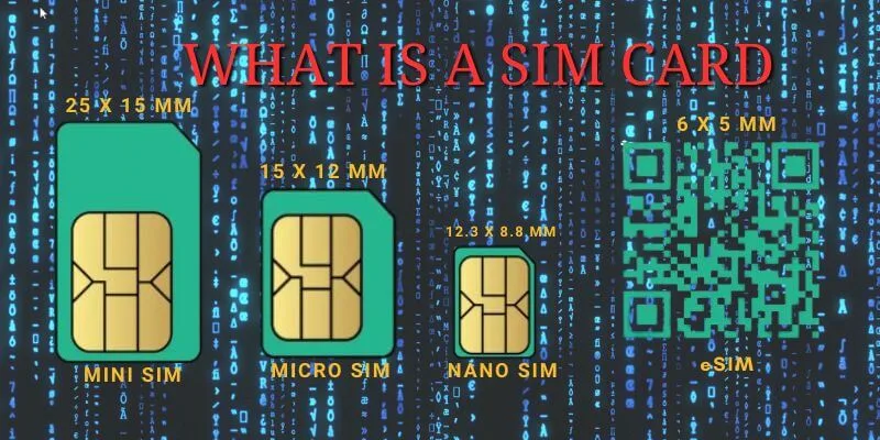 what is a sim card banner with various sim card types and sizes